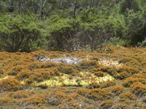 028 WallOfJerusalemWalkHochmoor